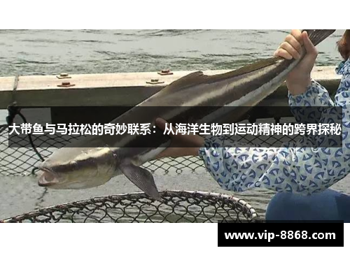 大带鱼与马拉松的奇妙联系：从海洋生物到运动精神的跨界探秘