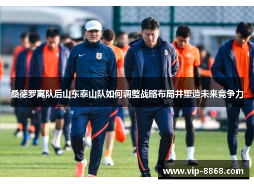 桑德罗离队后山东泰山队如何调整战略布局并塑造未来竞争力